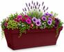EDA Romeo balkon bloempot / plantenbak - kunststof - rood - 28 x 19 x 13 cm - met ophangbeugels