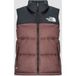 The North Face W 1996 RETRO NUPTSE VEST Donsjas
