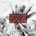 Bertus Distributie Bruce Soord Wisdom of Crowds