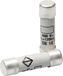 Hager LF302G Buiszekering (Ø x l) 10 mm x 38 mm Inhoud 10 stuk(s)
