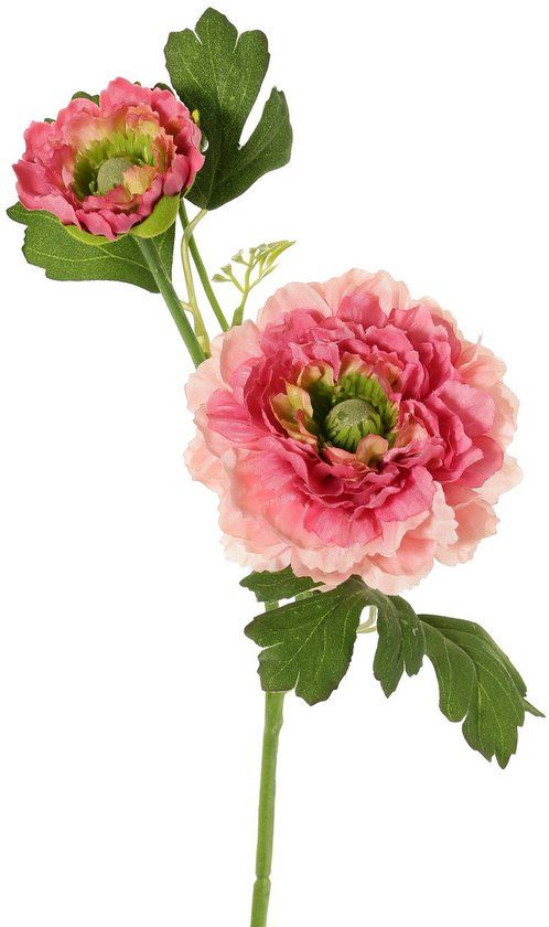 Driesprong Collection Ranonkel, 2x vertakt met bloemen knop d.roze kunstbloem zijde nepbloem
