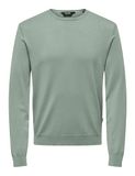 ONLY & SONS Onswyler Life Reg 14 Ls Crew Knit Noos gebreide herentrui, ijsberg groen