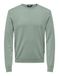 ONLY & SONS Onswyler Life Reg 14 Ls Crew Knit Noos gebreide herentrui, ijsberg groen