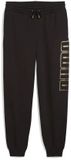 Puma Maximal Metallic Fl Trainingsbroek Zwart M Man