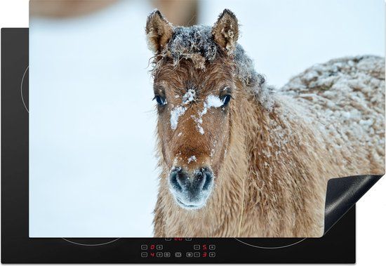KitchenYeah® Inductie beschermer 77x51 cm - Jong fjord paard bedekt met sneeuw - Inductie beschermer voor kookplaat