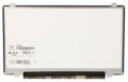 CoreParts 14.0 LCD HD Matte (MSC140H40-036M)