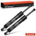 Chrysler Sebring Cabriolet JS 2007–2010 gasveren voor achterklep - 2 stuks - 1588 N - 312 mm - Slag 70 mm - OEM 6679, PM3428, SG414061