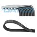 DAYCO 10PK2475HD Courroie trapézoïdale striée