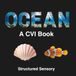 The Ocean CVI Book: Accessible Book for Children with Cortical Visual Impairment