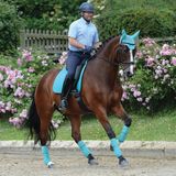 Weatherbeeta Prime Dressage Zadeldek Turquoise Full Katoen