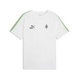 PUMA shirt fonctionnel 'lKING' vert / blanc
