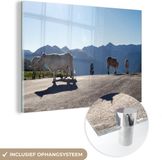 MuchoWow® Glass Painting 180x120 cm - Acrylic Glass Painting - Scottish Highlander - Light - Mountain - Nature - Photo on Glass - Paintings