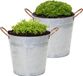 Mega Collections Emmer/plantenpot/bloempot Jean - 2x - zink - zilver - D20 X H17 cm
