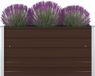 Maison Exclusive - Jardinière surélevée 100 x 100 x 45 cm, acier galvanisé, brun