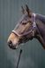 HKM Luna Leren Halster Donkerblauw/Bruin Warm Bloed