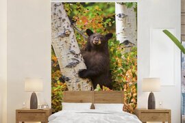 Nr1Wallpaper Behang - Fotobehang Beer - Boom - Klimmen - Herfst - Breedte 170 cm x hoogte 260 cm