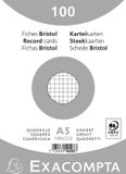 Exacompta 10x Pak 100 steekkaarten bristol in folie - geruit 5x5 niet geperforeerd 148x210mm - Wit - 10208E