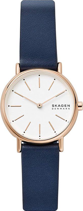 Skagen Horloge SKW2838