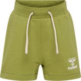 Hummel Kindersportbroek Hmldream Shorts 219365 Groen