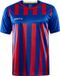Craft Progress 2.0 Stripe Jersey - Club Cobolt/Bright Red - XXL