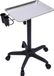 StarTech Salon Rollwagen - Mobiele trolley met opbergruimte - Aluminium, kunststof frame - Geschikt voor kappers, tattoo-artiesten, medische professionals - Professioneel - Montage vereist - Zilver