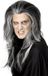 Vegaoo Vampierenpruik voor volwassenen Halloween - Verkleedpruik - One size - Grijs - Lang - Golvend - Polyester
