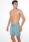 Protest Davey Short de bain Homme Arctic Green Uni Coupe Regular