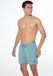 Protest Davey Short de bain Homme Arctic Green Uni Coupe Regular
