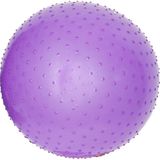 Endless 65 cm Anti-burst Yogabal | Dikke PVC Oefenbal voor Fitness, Pilates, Stabiliteit & Thuis Workouts | Balansbal Stoel voor Mannen & Vrouwen | Kleur: Paars
