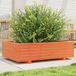 Maison Exclusive - Jardinière brun ciré 90x60x26,5 cm Bois massif de pin