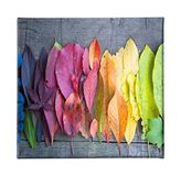 Homemania Muurfoto, natuurlijke kleuren, voor woonkamer, slaapkamer, meerkleurig, 60 x 3 x 60 cm, HM20KNV60 x 60 – 8, polyester, hout