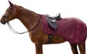 Waldhausen Rome Vliegendeken Paard Velvet Red