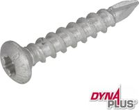 Dynaplus 10 T40 paalhouderschroef zilver - 8712811767561