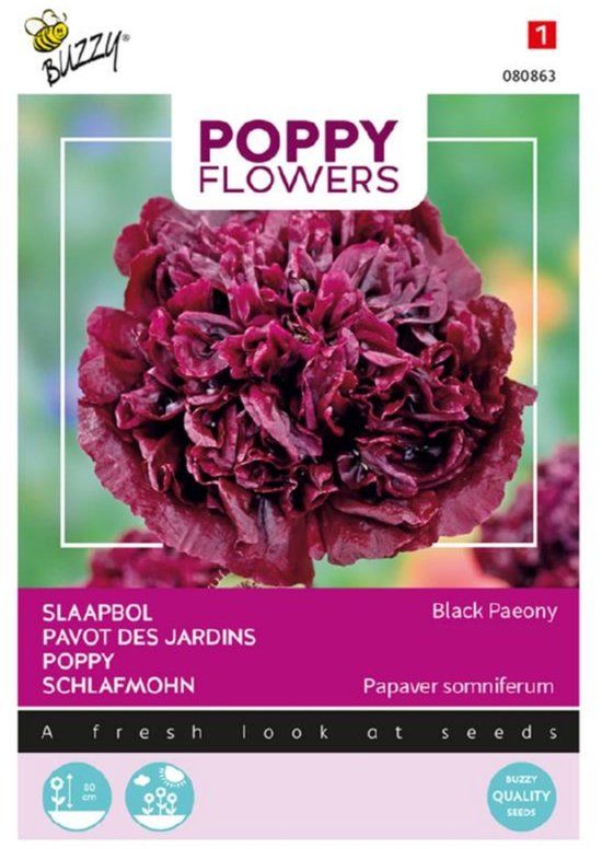Buzzy® Poppy Flowers, Papaver Black Paeony