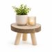 CEPEWA Plantverhogers Woodland - 16 x 10 cm - Paulownia hout - naturel