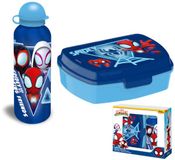 Spider-Man Blue Web sandwich box + aluminum bottle set