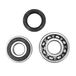 SOLEX 2200 3300 3800 5000: KIT LAGERING 6202-2RS + 6203-2RS + SPI SPI SPY VILEBREKIN As MOTOR DUBBELE WATERDICHTE VELOSOLEX FIETSER OUDE RETRO VINTAGE MOBYLEX Hoofd