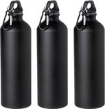 Merkloos / Sans marque Makito Western Europe Waterfles/drinkfles Thor - 3x - zwart - aluminium - schroefdop - karabijnhaak - 800 ml - Sportfles/Bidon