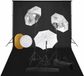 vidaXL Fotostudioset - met lampen, paraplu's, achtergrond en reflector