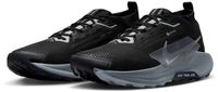 Nike Pegasus Trail 5 GORE-TEX Black Wolf Grey