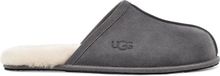 UGG Scuff Heren Sloffen - Grijs - Maat 45,5