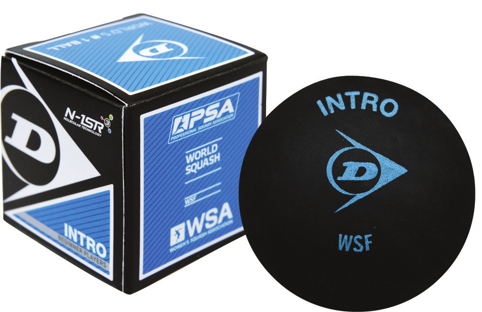 Dunlop 700105 - 12 stuks