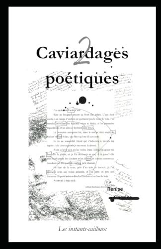 caviardages Icecat caviardages poétiques 2: Les instants-cailloux