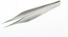 Pince à bec effilé Malteser 11 cm INOX Argent