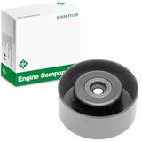INA 531 0631 10 spanrol, V-riem