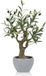 Unyqoos® Stijlvolle kunstplant olijfboom in stenen pot voor interieurdecoratie