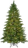 Everlands Kunstkerstboom Galloway Spruce groen H240 D150 cm met 5400 LED Indoor