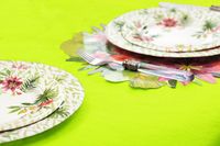 Givi Italia Tafelkleed op rol - Papier - Lime Groen - Rechthoekig - 120cm x 5m