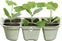 Elho Green Basics Seed Tray 22cm Steengroen