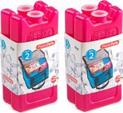 Plasticforte kleine koelelementen - 8x stuks - roze - 11 x 5.5 cm - kunststof